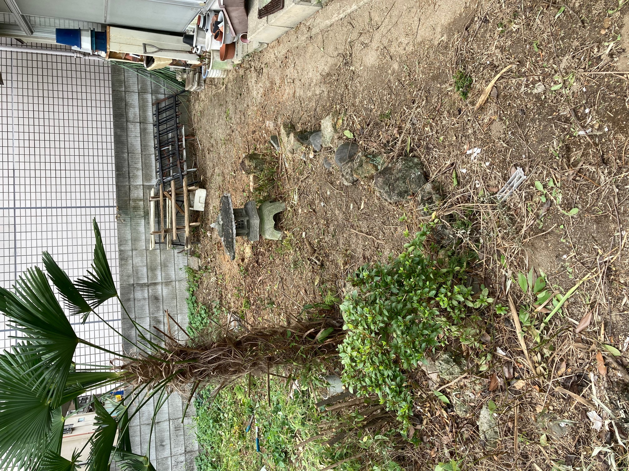 草刈り樹木業務