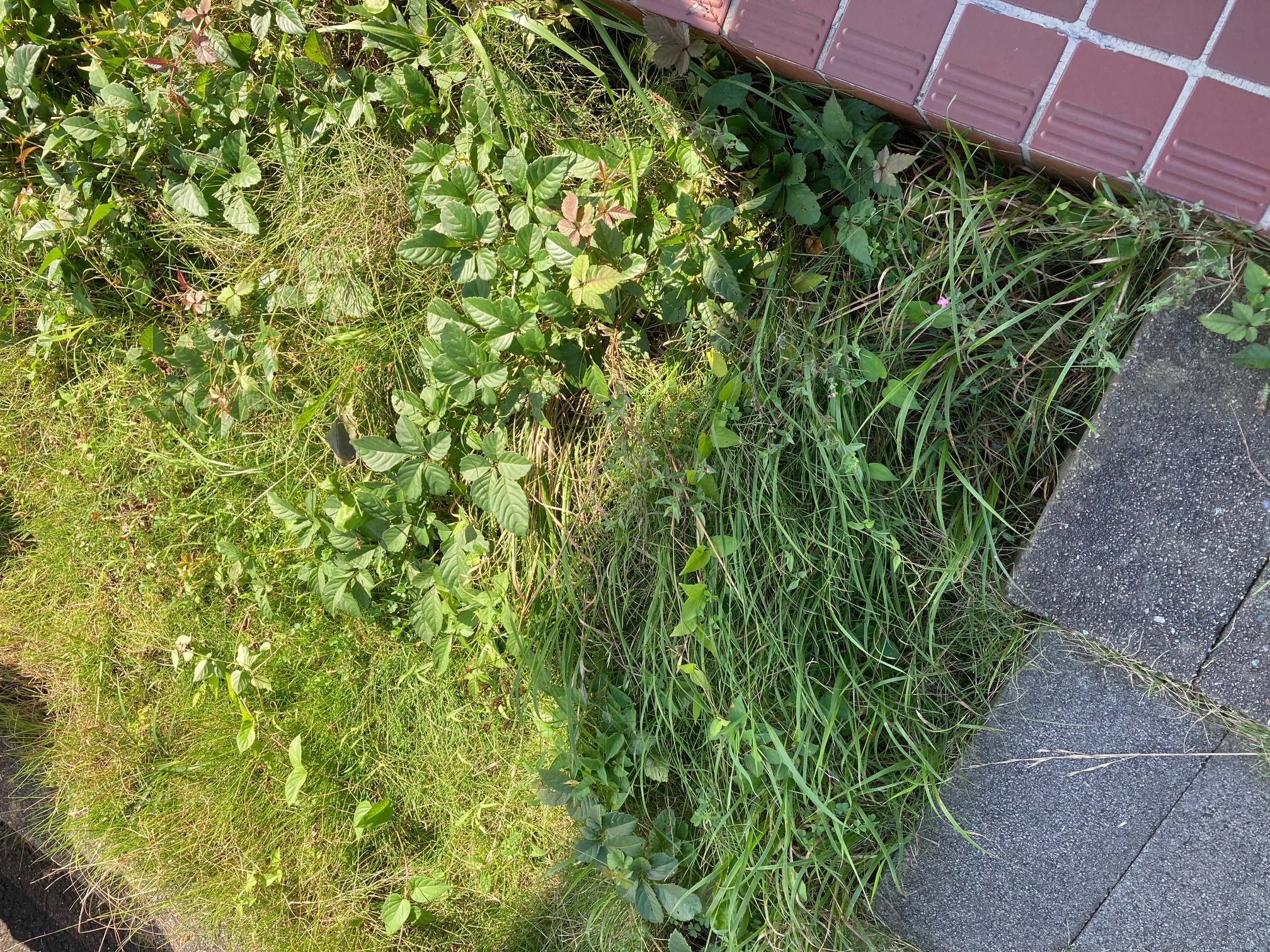○○○技術